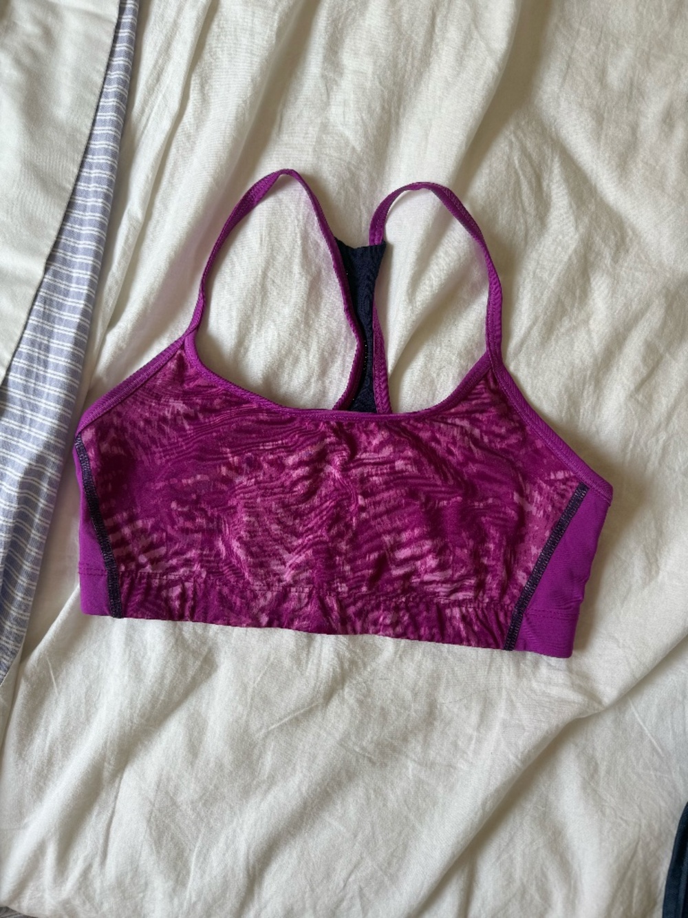 Champion Sports Bra